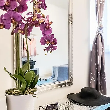 Bpr Carpediem Dream *