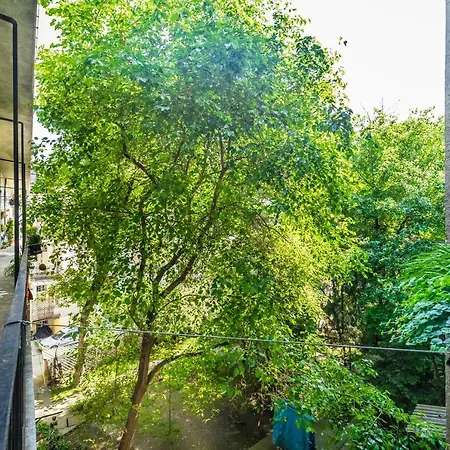 Bpr Carpediem Dream *